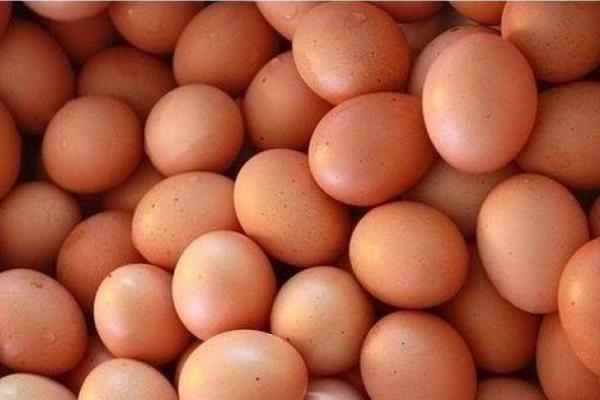 Jika Harga Telur Tak Kunjung Turun, NFA Gelar Operasi Pasar
