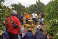 Program GEDOR HORTI, Kementan Fokus pada Food Estate dan 1000 Kampung Hortikultura