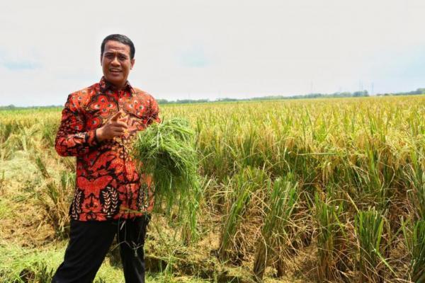 DPR Tetapkan Anggaran Kementan 2020 Rp21,05 Triliun