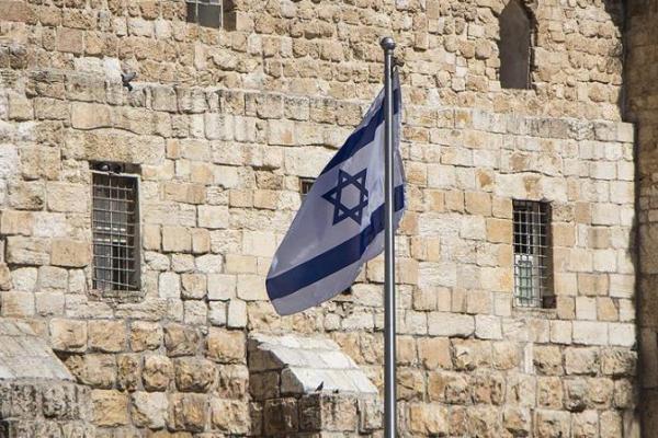 Israel Diam-diam Gunakan Babi untuk Pengembangan Senjata