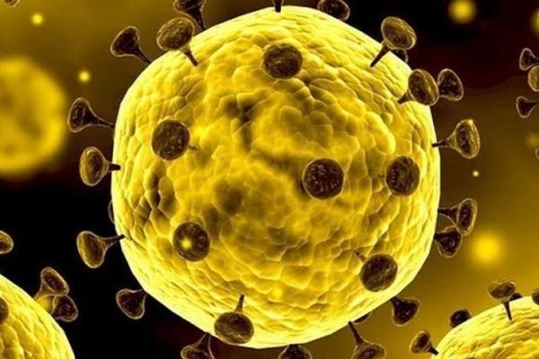 Virus Corona: 2.012 Orang Tewas, 75.216 Terinfeksi, 14.672 Sembuh