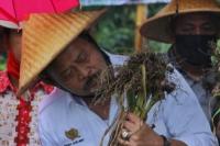 Panen Bawang Putih di Temanggung, SYL: "Bawang Kita Kecil Tapi Lebih Sedap"