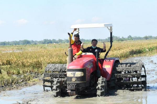 Ini 10 Kabupaten Penghasil Beras Tertinggi
