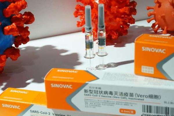 WHO: Vaksin COVID Sinovac Efektif tetapi Beberapa Data Masih Kurang