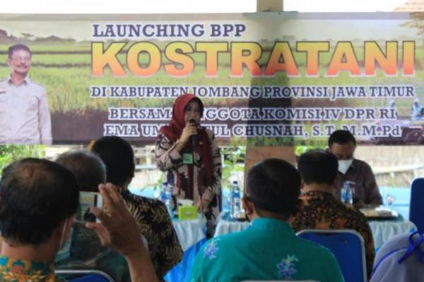 Perkuat Lima Peran BPP, Ini Penjelasan BPPSDMP Kemantan 