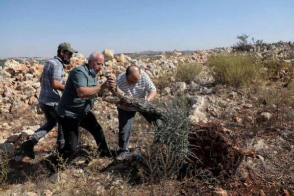 Buldoser Militer Israel Hancurkan 2 Hektar Lahan pertanian di Kota Hebron