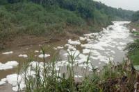 Sungai Cileungsi Dipenuhi Gumpalan Buih Lagi 