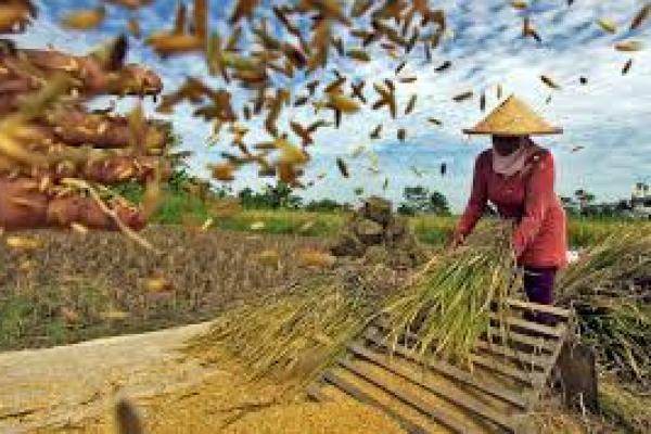 Ini Lima Sektor Usaha yang Beri Kontribusi Pertumbuhan Ekonomi Kuartal II