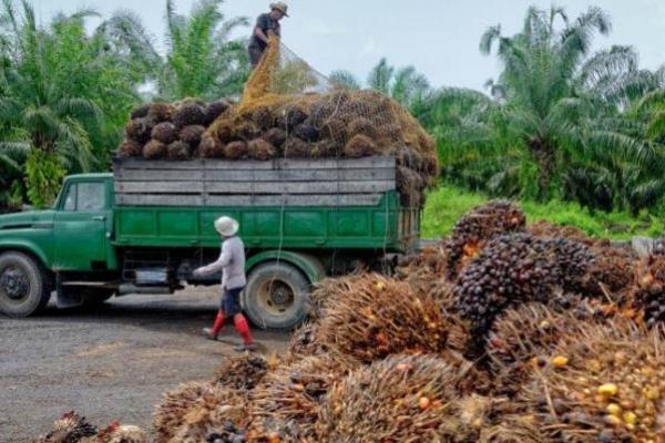 Kemenhub Canangkan Indonesia Bebas Kendaraan ODOL