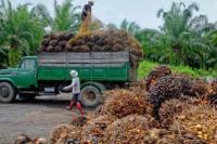 Kemenhub Canangkan Indonesia Bebas Kendaraan ODOL