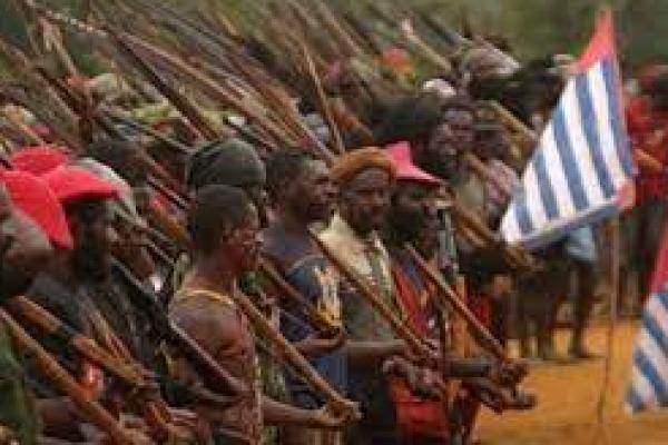 Pemprov Papua dan Pegiat HAM Tolak Pelabelan Teroris Terhadap TPNPB-OPM