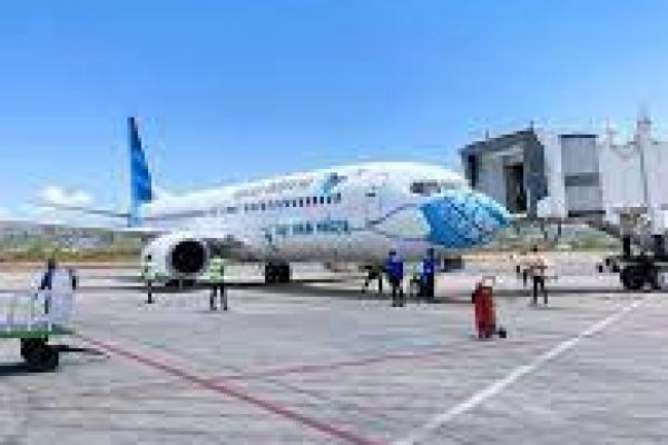 Indonesia Larang Pesawat Sewaan Masuk Selama Masa Mudik Idulfitri