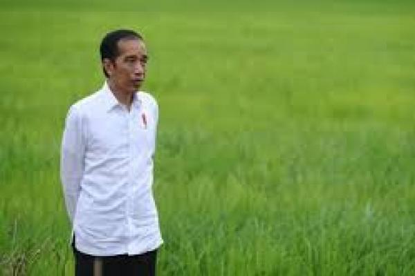  Jokowi Pastikan Komitmen Indonesia  Wujudkan Kehidupan Hijau di Tatanan Global.
