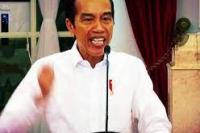 Jokowi Minta Dukungan Kadin Detailkan Kebijakan Pemerintah