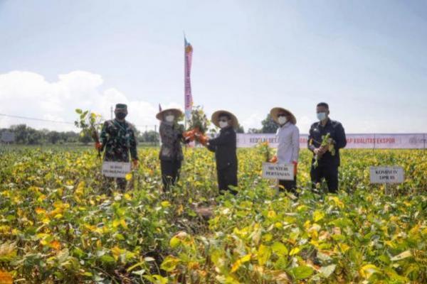 Balitbangtan Lakukan Optimalisasi IP2TP Demi Masifkan Riset Pertanian