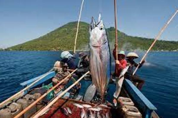 Pembeli Luar Negeri Makin Kritis Terhadap Produk Perikanan Indonesia