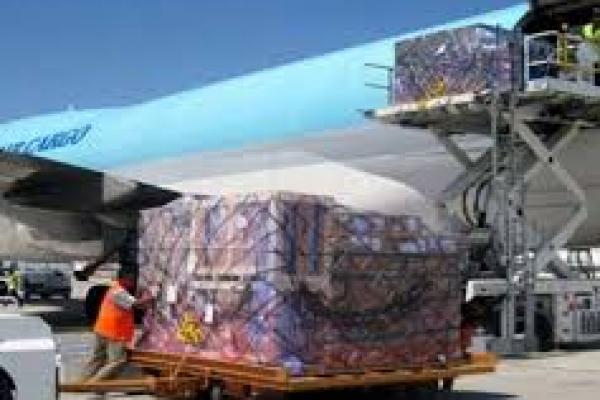 Garuda Optimalkan Bisnis Logistik Ekspor