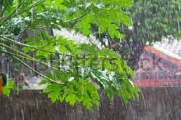 BMKG: Hujan Lebat dan Angin Kencang Berpotensi Terjadi di Sebagian Wilayah Indonesia