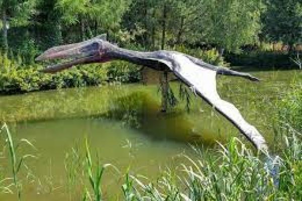 Peneliti Australia Temukan Spesies Baru Pterosaurus