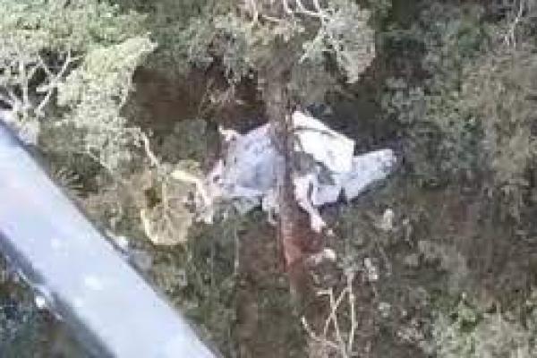  3 Kru Pesawat Rimbun Air Ditemukan Tewas Dalam Kecelakaan di Papua