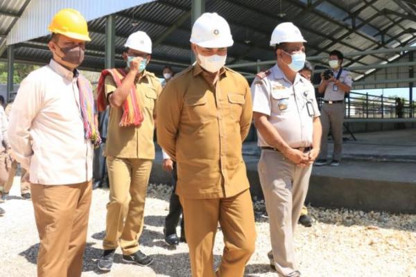   Balai Karantina Pertanian Kupang Bangun IKH Berkapasitas 3000 Ekor 