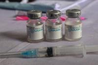 WHO Setujui Vaksin Covaxin India untuk Keadaan Darurat