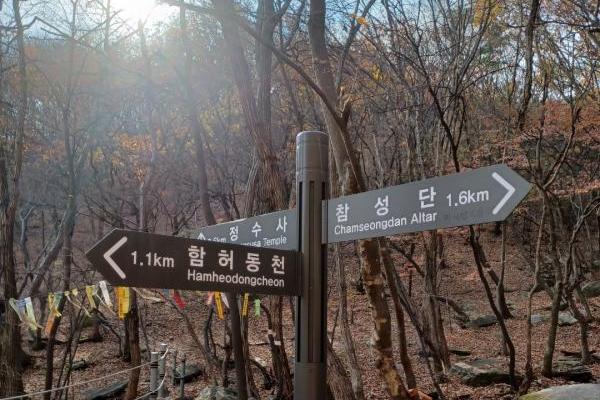 Gunung Manisan Salah Satu Destinasi Wisata Musim Gugur di Korsel