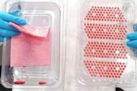 Bakal Hemat Ribuan Ton Plastik, Mahasiswa Inggris Ciptakan Nampan Daging Daur Ulang