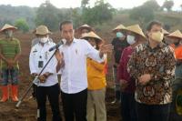 Presiden Jokowi Harap Gerakan tanam Jagung Bisa Tingkatkan Produksi