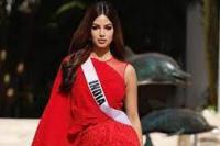 Miss Universe : Kini Saatnya Saya Untuk Bersinar