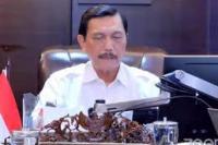 Menko Luhut: Audit Perkebunan Sawit untuk Perbaiki Tata Kelola Sawit Nasional