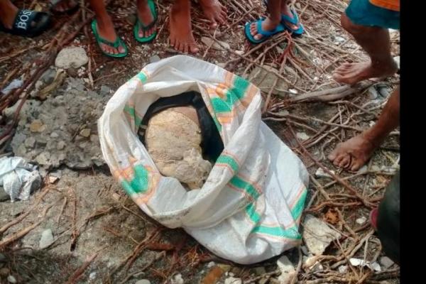 Buat Geger Warga, Temuan Kerangka Manusia di Pesisir Pantai Onang Majene