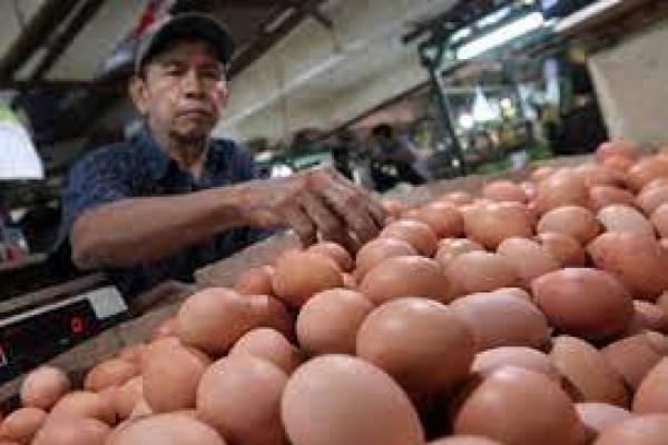 Kemendag: Harga Telur dan Minyak Goreng Turun Tahun 2022 