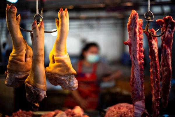 Thailand Menolak Tuduhan Tutupi Wabah Flu Babi Afrika