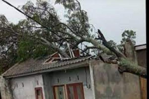 Angin Kencang Terjang Jember, Puluhan Rumah Rusak 