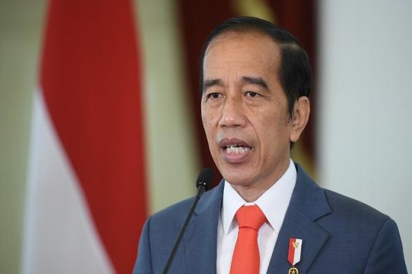   Lebih Dari Sekadar Kantor Pemerintahan,  Jokowi Sebut IKN Kota Pintar Baru
