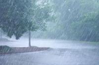 Jangan Lupa Sedia Payung, Tiga Hari  Ini Hujan di Jabodetabek Bakal Meningkat  