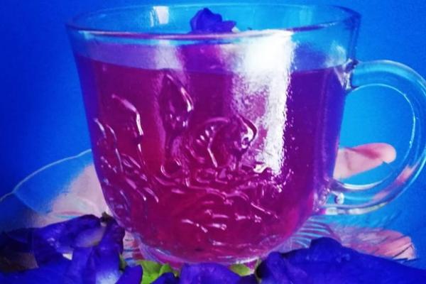 Minuman Teh Bunga Telang Kini Populer, Simak Manfaat Kesehatan bagi Tubuh