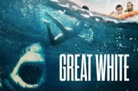 Sinopsis Great White, Kisah Penumpang Pesawat Amfibi Bertahan dari Serangan Hiu Ganas
