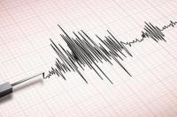 Gempa Bumi 5,5 Magnitudo, Getaran Dirasakan Hingga Jakarta