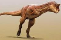 Fosil Dinosaurus Guemesia Ochoai Ditemukan di Argentina