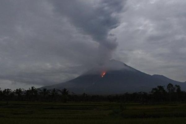 Gunung Semeru Kembali Semburkan Awan Panas Guguran