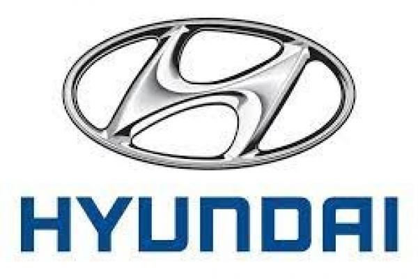 Otoritas AS Tuduh Pemasok Hyundai Lakukan Pelanggaran Pekerja Anak