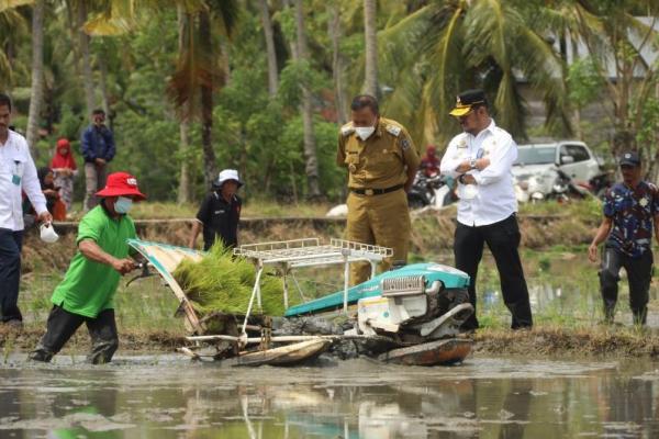 Gandeng Perguruan Tinggi, Kementan Gelorakan Pangan Lokal