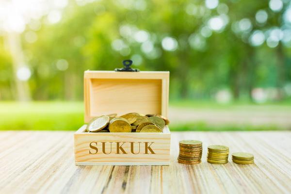 ST009 Segera Terbit November 2022, Simak Keuntungan Investasi di Sukuk Tabungan