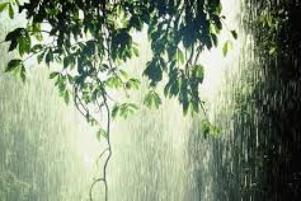 Hari Ini, Sejumlah Wilayah Berpotensi Diguyur Hujan