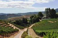  Pembuat Anggur Afrika Selatan Beruntung Australia-China Bertikai