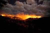 Sepasang Lansia Tewas dalam Kebakaran Hutan New Mexico
