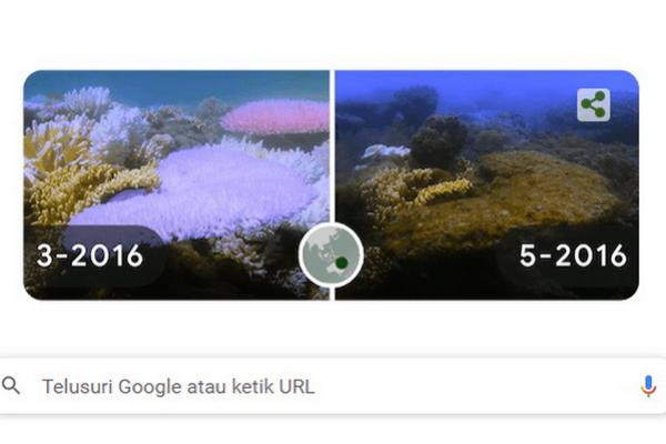 Google Doodle Hari Bumi 2022, Perubahan Iklim yang Wajib Kita Ketahui dan Dampaknya