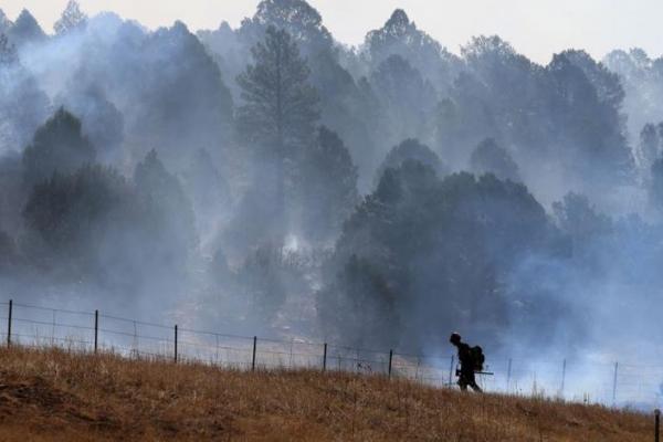 Api Kian Berkobar, Warga Desa di Pegunungan New Meksiko Diungsikan